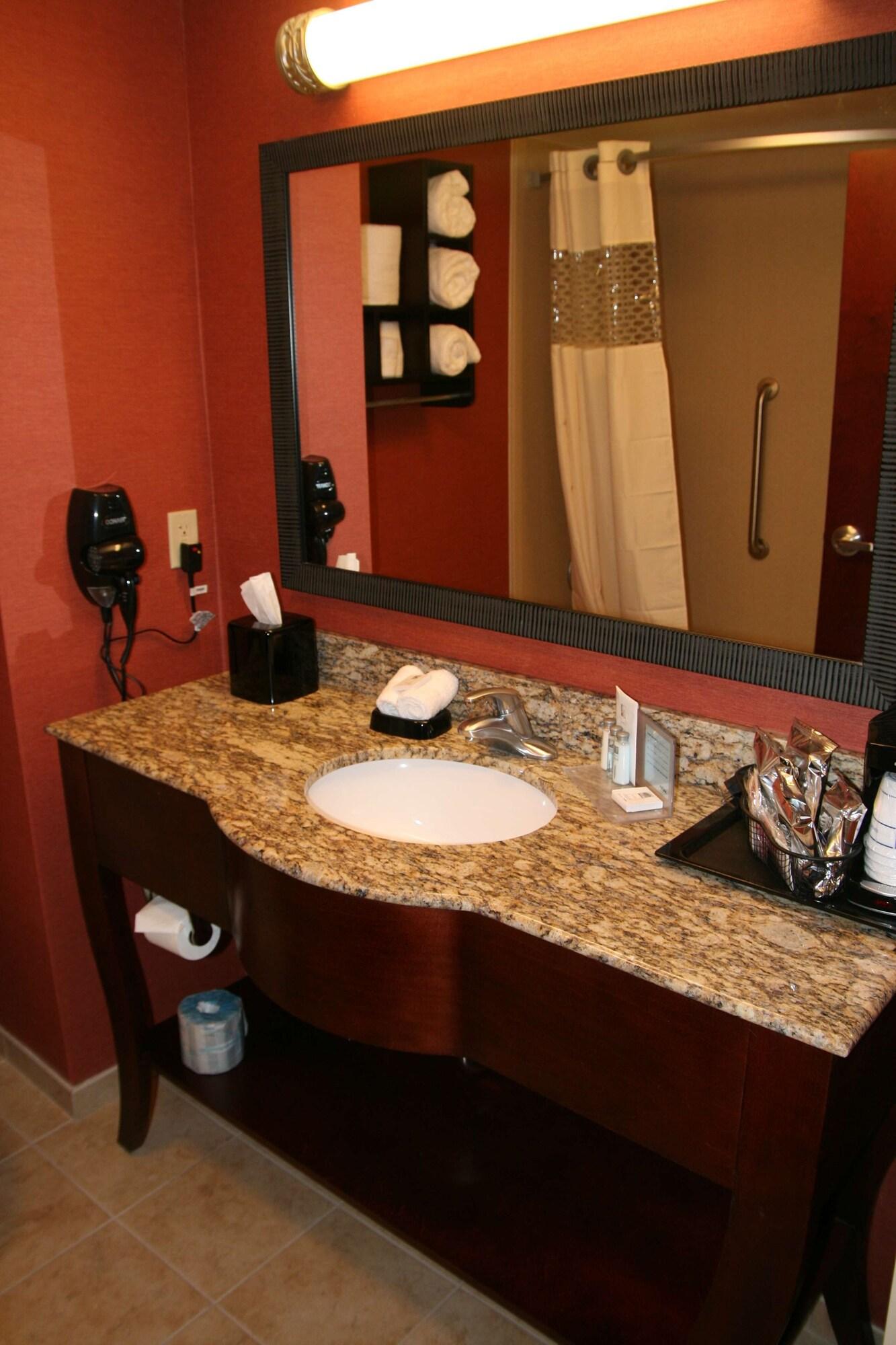 Hampton Inn & Suites Morgan City Rum bild